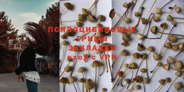 спайс Дмитров
