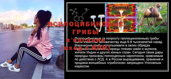 прущий лед Дмитровск
