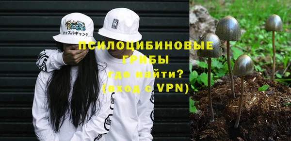 спайс Дмитров