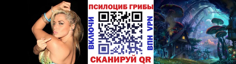 Псилоцибиновые грибы мухоморы  Купить  Пыть-Ях 